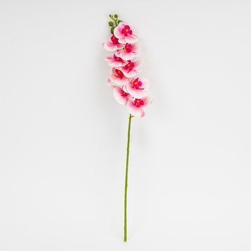 Штучна орхідея, ніжно-рожева, 57 см 2026-022/wh.pink фото