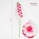 Штучна орхідея, ніжно-рожева, 57 см 2026-022/wh.pink фото 4